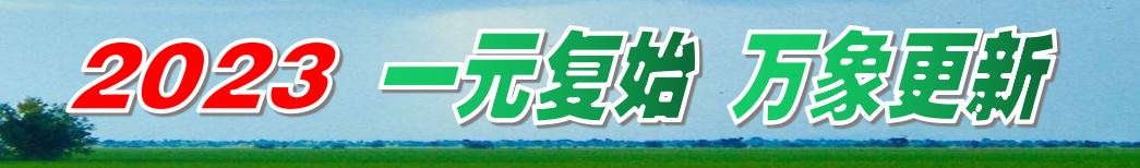 杨建波:给大学语文教师的建议